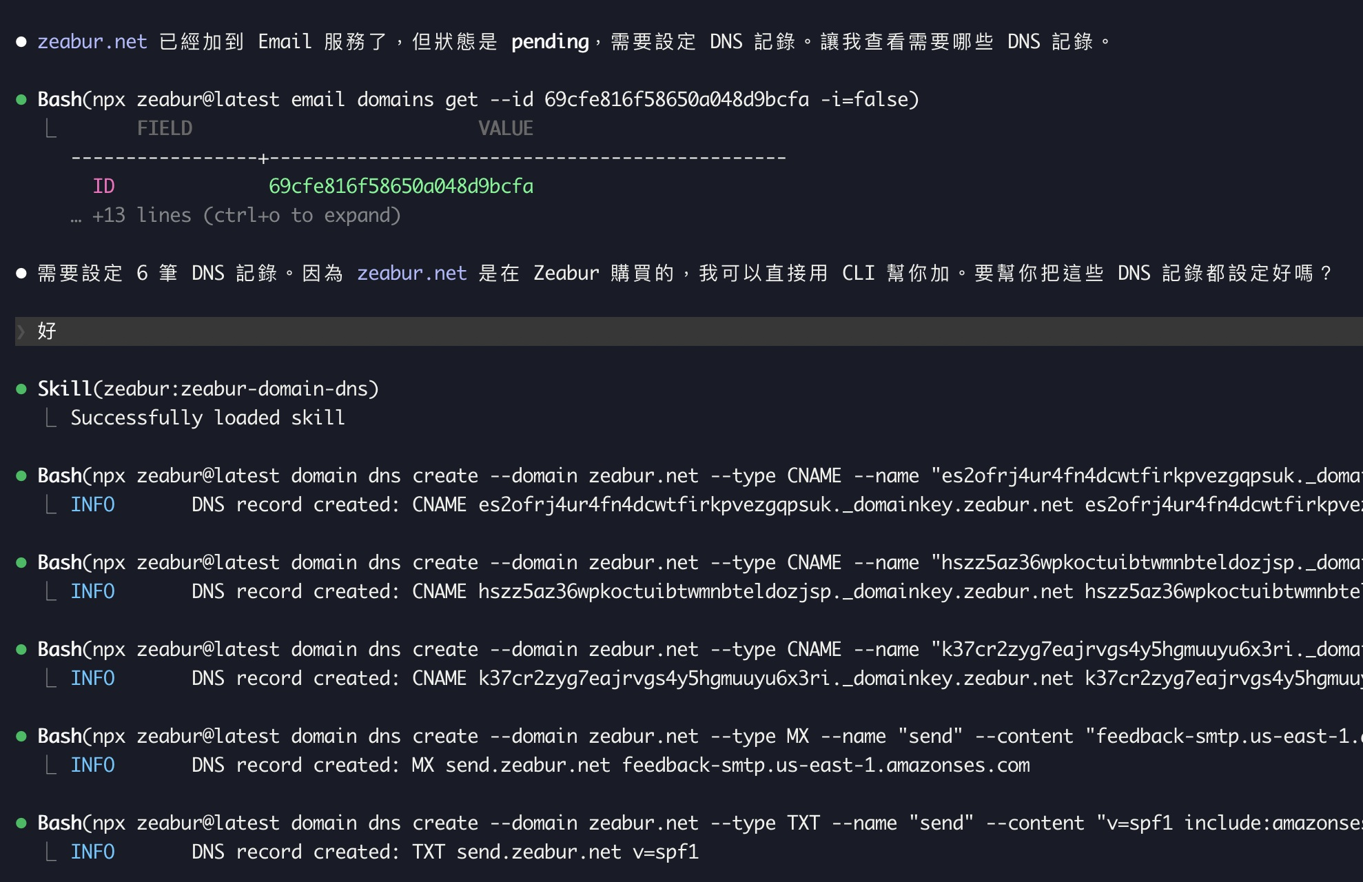 DNS 自動設定